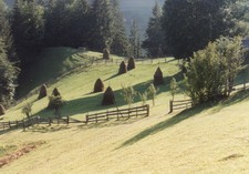 Tű a szénakazalban. De melyikben?