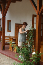 Márti néni képén az utolsó simítások