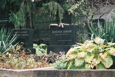 Házsongárdi temető, Reményik Sándor sírja