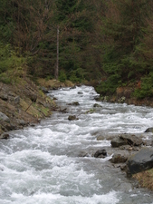 Megáradt patak a Szinevéri Nemzeti Parkban